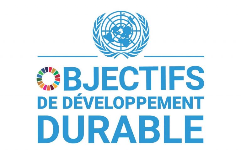 logo-objectifs-de-developpement-durable